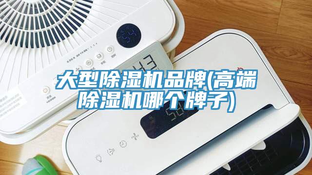 大型蘑菇视频网站品牌(高端蘑菇视频网站哪個牌子)