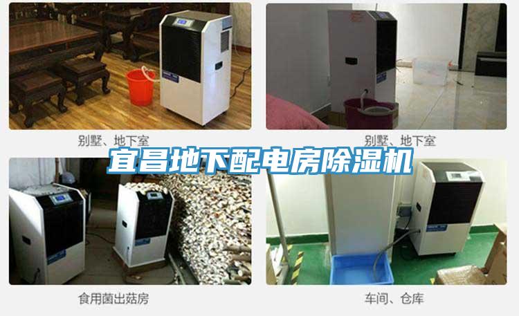 宜昌地下配電房蘑菇视频网站