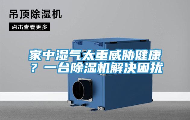 家中濕氣太重威脅健康？一台蘑菇视频网站解決困擾