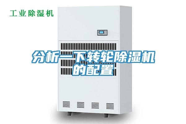 分析一下轉輪蘑菇视频网站的配置