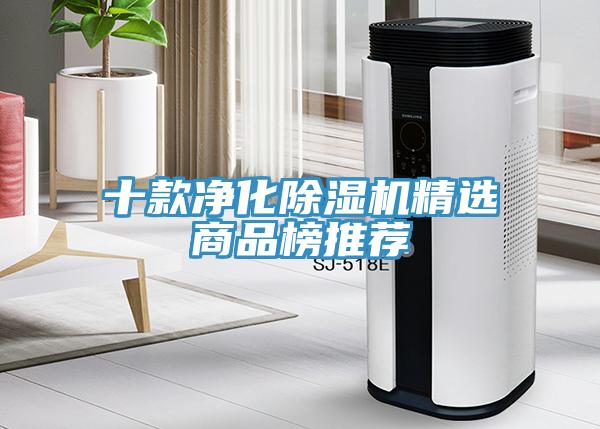 十款淨化蘑菇视频网站精選商品榜推薦