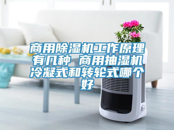 商用蘑菇视频网站工作原理有幾種 商用抽濕機冷凝式和轉輪式哪個好