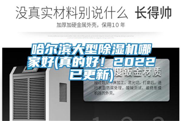 哈爾濱大型蘑菇视频网站哪家好(真的好！2022已更新)