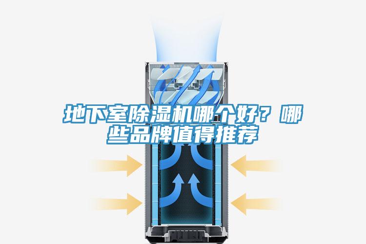 地下室蘑菇视频网站哪個好？哪些品牌值得推薦