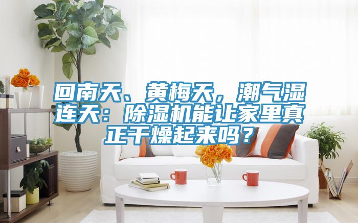 回南天、黃梅天，潮氣濕連天：蘑菇视频网站能讓家裏真正幹燥起來嗎？