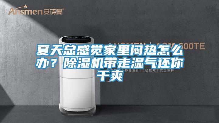 夏天總感覺家裏悶熱怎麽辦？蘑菇视频网站帶走濕氣還你幹爽