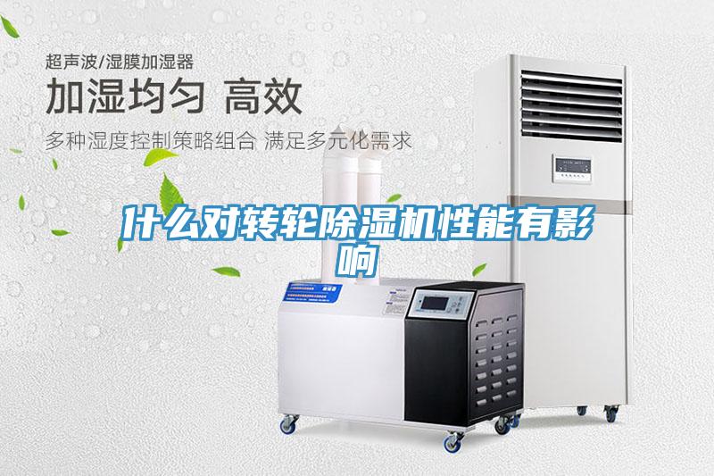 什麽對轉輪蘑菇视频网站性能有影響