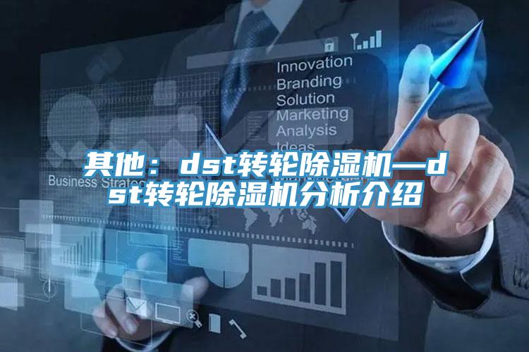 其他：dst轉輪蘑菇视频网站—dst轉輪蘑菇视频网站分析介紹