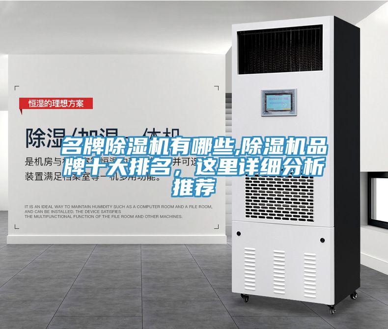 名牌蘑菇视频网站有哪些,蘑菇视频网站品牌十大排名，這裏詳細分析推薦