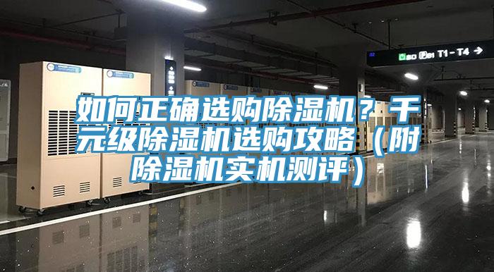 如何正確選購蘑菇视频网站？千元級蘑菇视频网站選購攻略（附蘑菇视频网站實機測評）