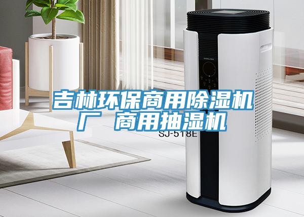 吉林環保商用蘑菇视频网站廠 商用抽濕機