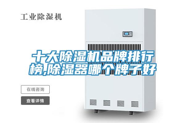 十大蘑菇视频网站品牌排行榜,除濕器哪個牌子好