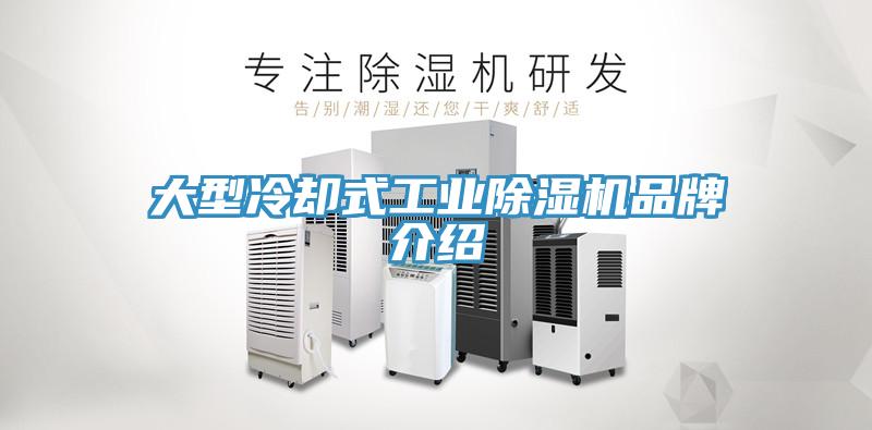 大型冷卻式工業蘑菇视频网站品牌介紹