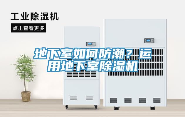 地下室如何防潮？運用地下室蘑菇视频网站
