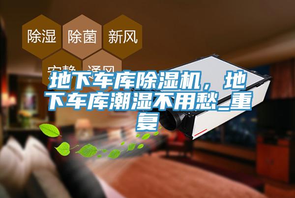地下車庫蘑菇视频网站，地下車庫潮濕不用愁_重複