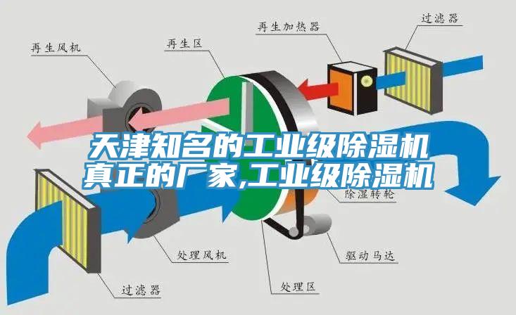 天津知名的工業級蘑菇视频网站真正的廠家,工業級蘑菇视频网站