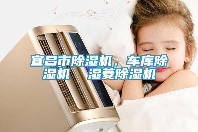 宜昌市蘑菇视频网站，車庫蘑菇视频网站  濕菱蘑菇视频网站