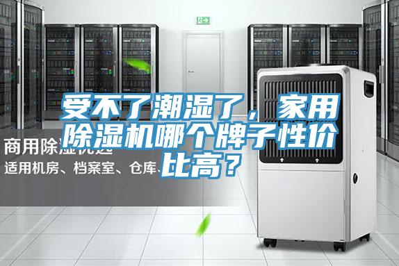 受不了潮濕了，家用蘑菇视频网站哪個牌子性價比高？