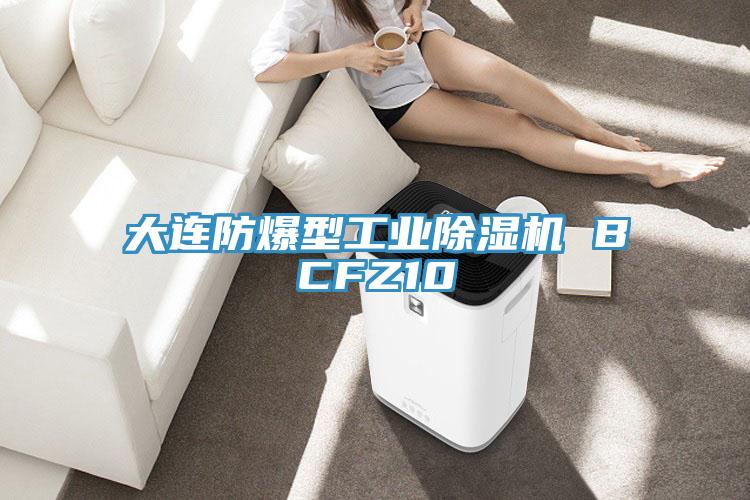 大連防爆型工業蘑菇视频网站 BCFZ10