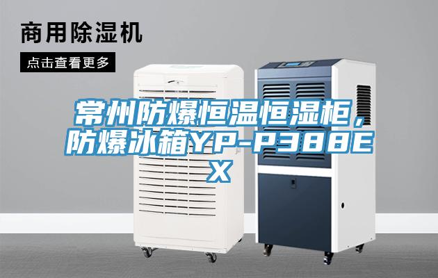 常州防爆恒溫恒濕櫃，防爆冰箱YP-P388EX