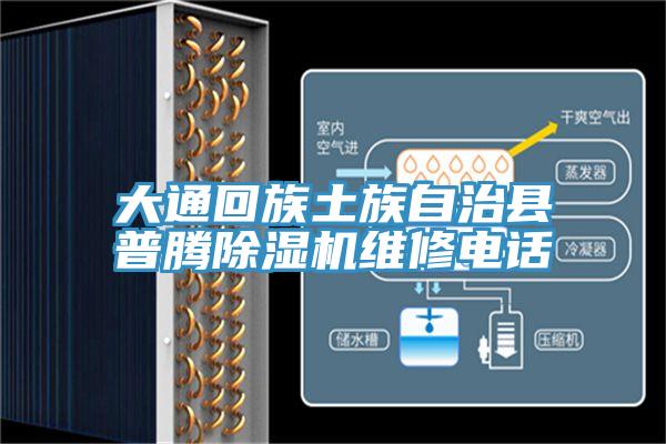 大通回族土族自治縣普騰蘑菇视频网站維修電話