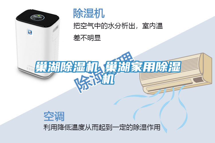 巢湖蘑菇视频网站◆巢湖家用蘑菇视频网站