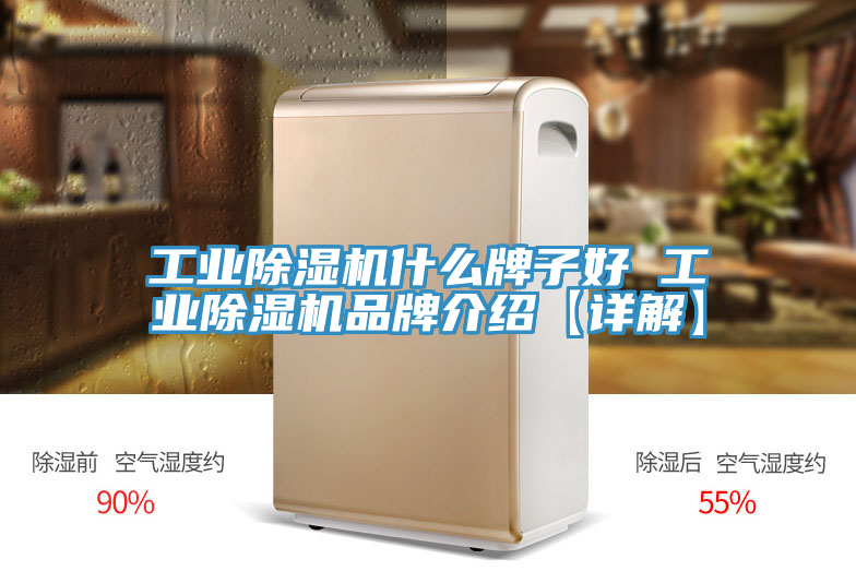 工業蘑菇视频网站什麽牌子好 工業蘑菇视频网站品牌介紹【詳解】