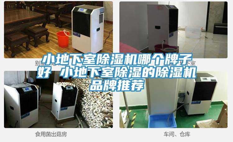 小地下室蘑菇视频网站哪個牌子好 小地下室除濕的蘑菇视频网站品牌推薦