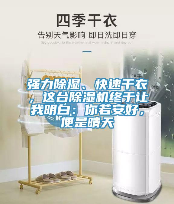 強力除濕、快速幹衣，這台蘑菇视频网站終於讓我明白：你若安好，便是晴天