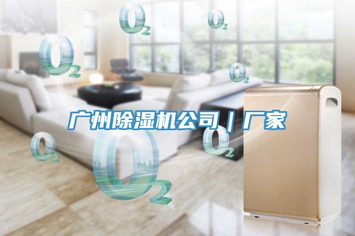 廣州蘑菇视频网站公司｜廠家