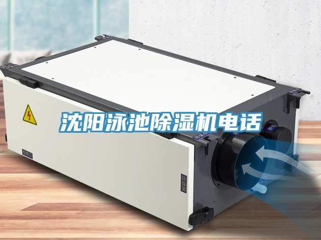 沈陽泳池蘑菇视频网站電話