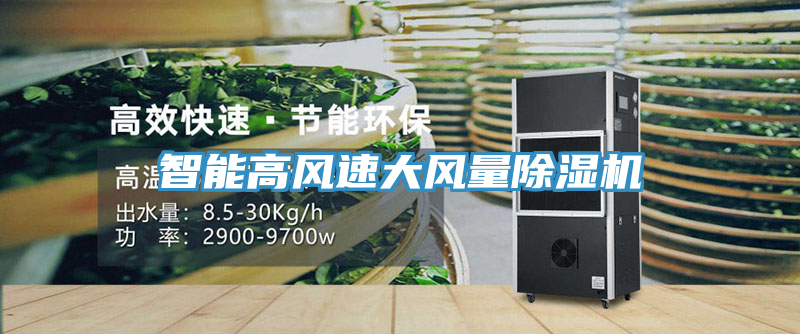 智能高風速大風量蘑菇视频网站