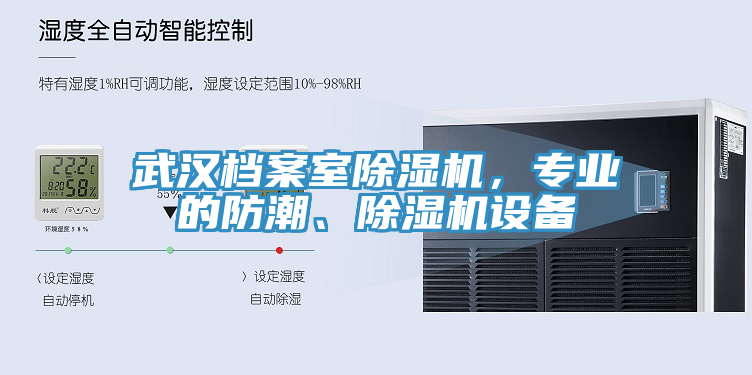 武漢檔案室蘑菇视频网站，專業的防潮、蘑菇视频网站設備