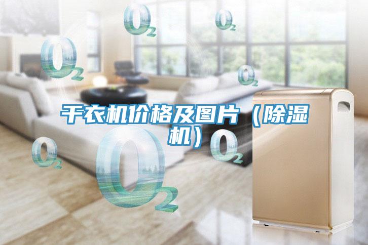 幹衣機價格及圖片（蘑菇视频网站）