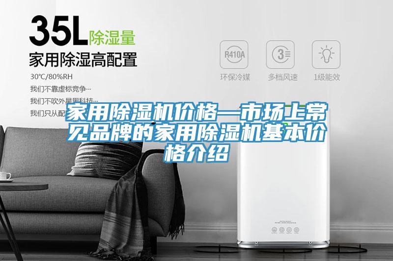 家用蘑菇视频网站價格—市場上常見品牌的家用蘑菇视频网站基本價格介紹