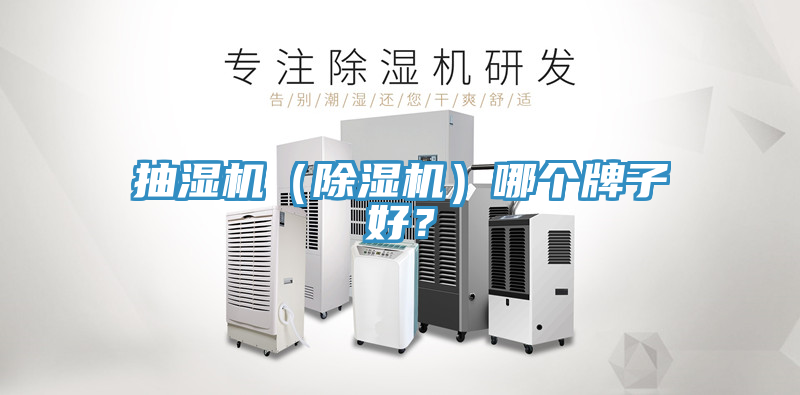 抽濕機（蘑菇视频网站）哪個牌子好？