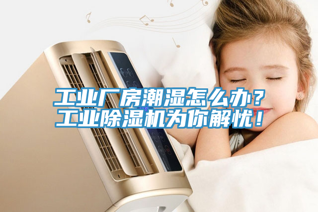 工業廠房潮濕怎麽辦？工業蘑菇视频网站為你解憂！
