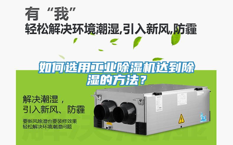 如何選用工業蘑菇视频网站達到除濕的方法？