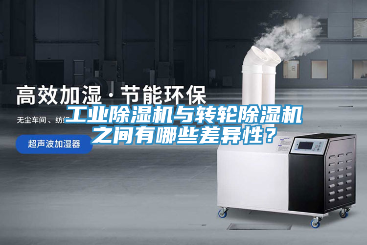 工業蘑菇视频网站與轉輪蘑菇视频网站之間有哪些差異性？