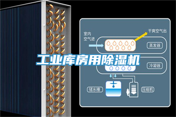 工業庫房用蘑菇视频网站