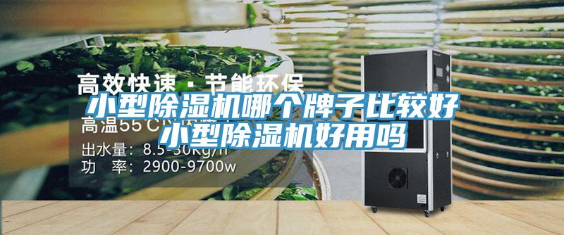 小型蘑菇视频网站哪個牌子比較好 小型蘑菇视频网站好用嗎