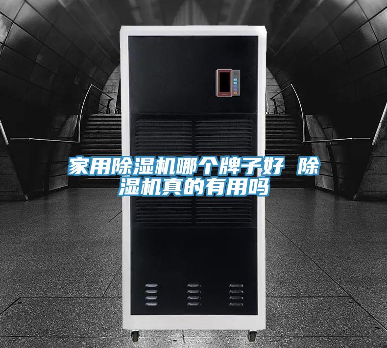 家用蘑菇视频网站哪個牌子好 蘑菇视频网站真的有用嗎