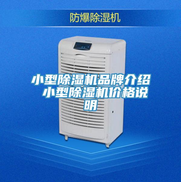 小型蘑菇视频网站品牌介紹 小型蘑菇视频网站價格說明