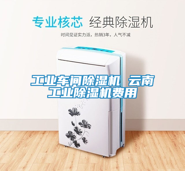 工業車間蘑菇视频网站 雲南工業蘑菇视频网站費用
