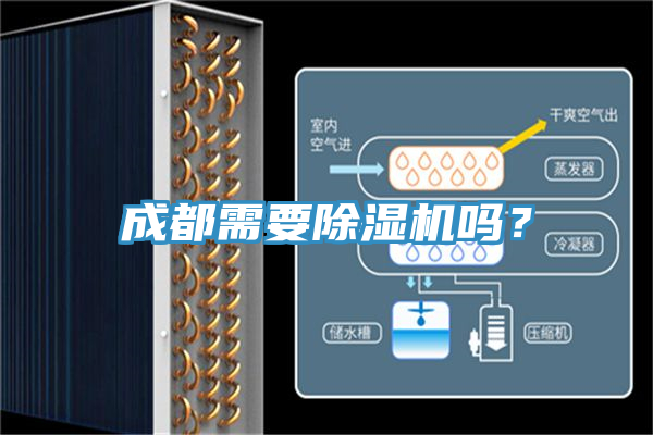 成都需要蘑菇视频网站嗎？