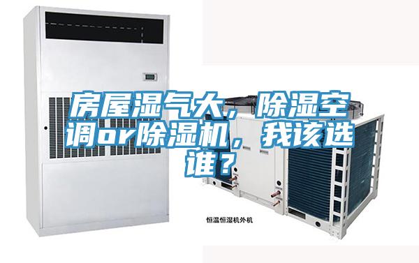 房屋濕氣大，除濕空調or蘑菇视频网站，我該選誰？