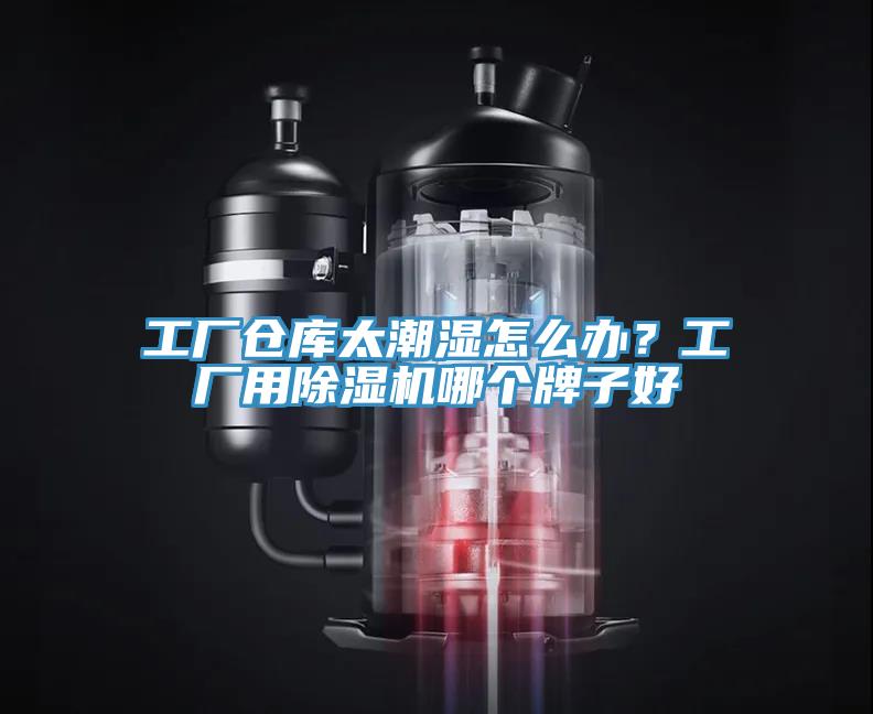 工廠倉庫太潮濕怎麽辦？工廠用蘑菇视频网站哪個牌子好