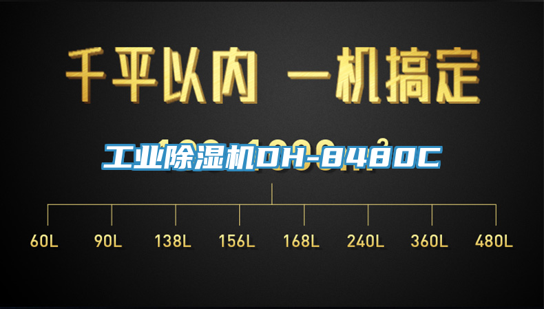 工業蘑菇视频网站DH-8480C