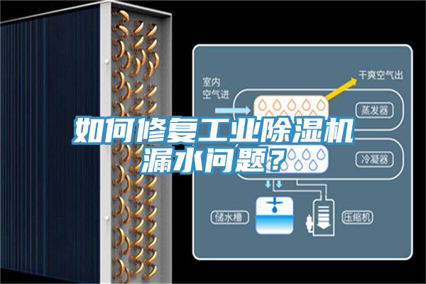 如何修複工業蘑菇视频网站漏水問題？
