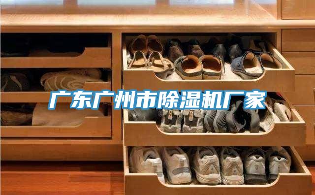 廣東廣州市蘑菇视频网站廠家